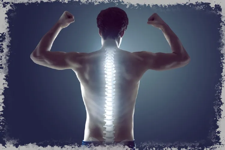 Біль у спині - причини, симптоми, захворювання, вправи та профілактика