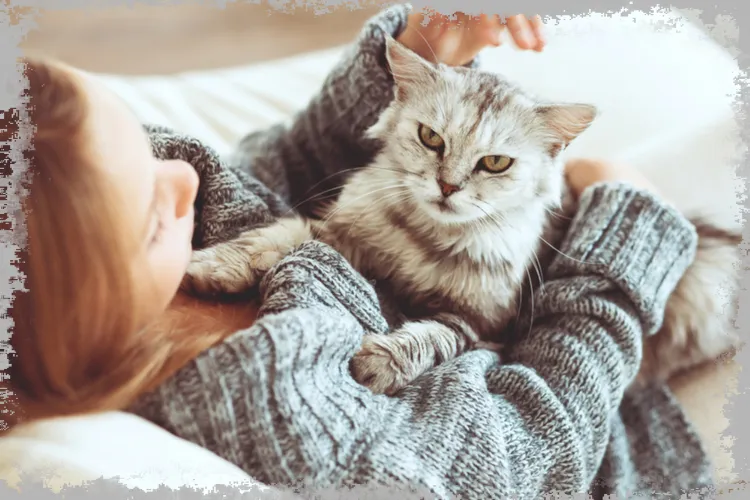 Алергія на котів - симптоми, причини, лікування, десенсибілізація