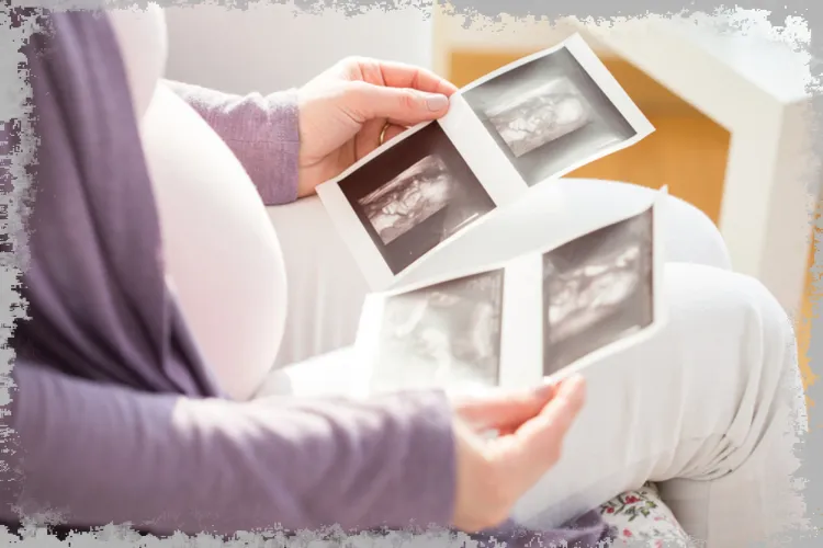 3-я неделя беременности - симптомы, размеры, развитие эмбриона, изменения в организме