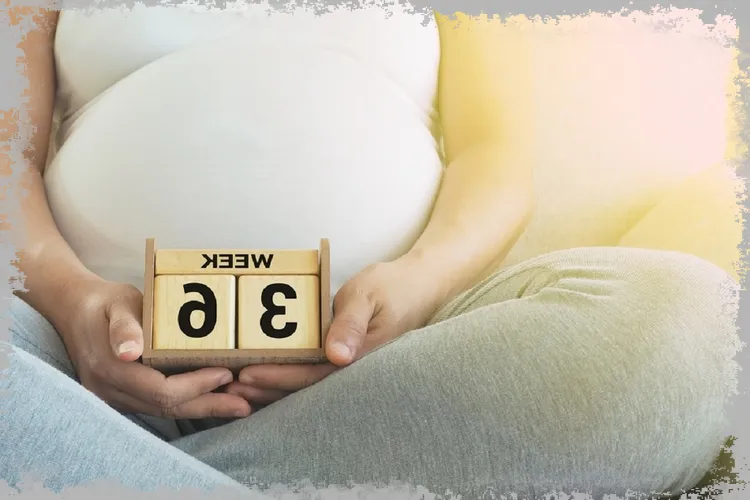 Kalkulačka těhotenství - který týden těhotenství?