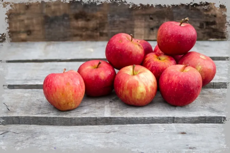 Яблучна дієта - правила, меню, ефекти, за і проти