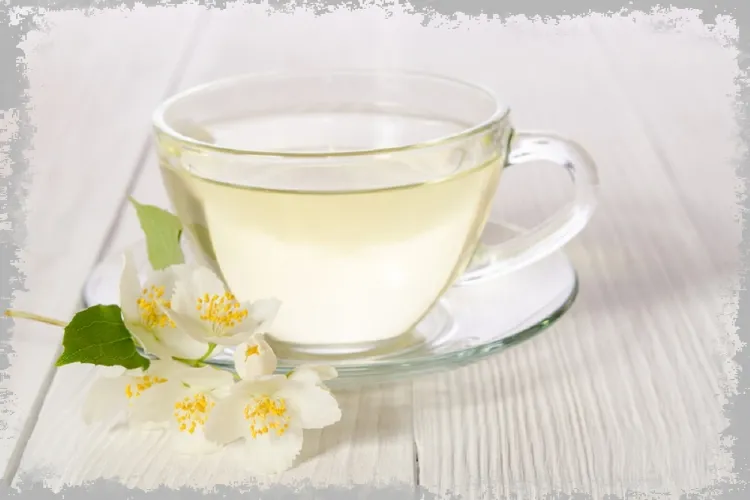 Бял чай - свойства, действие, метод на варене, противопоказания