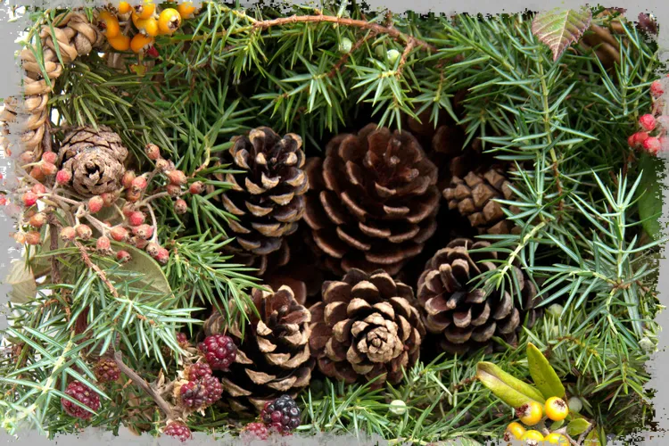 Preverite, kako narediti božično drevo iz stožcev. Dokazano DIY okraski iz stožcev!