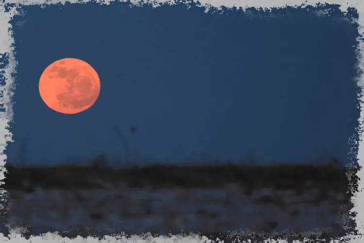 Розовата Луна ще озари априлското небе. Това явление си струва да се види