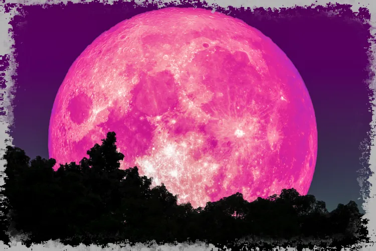 Pink Moon 2020: Супер пълнолуние. Къде и кога да гледате?