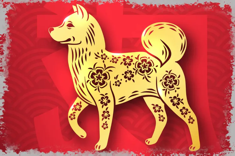 Čínský zvěrokruh: Pes. Zjistěte více o jeho vlastnostech!