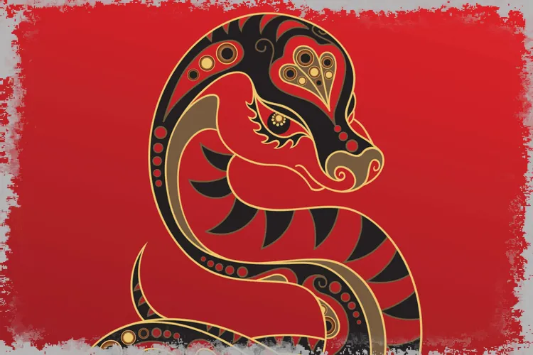 Китайский знак зодиака: Змея. Откройте для себя характеристики вашего знака!