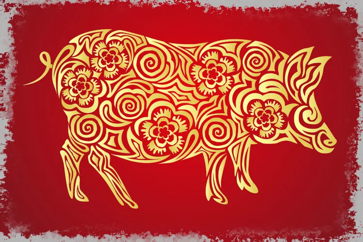 Китайский знак зодиака: Свинья. Узнайте о его характеристиках!