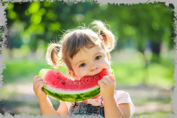 Meloun - vlastnosti, nutriční hodnoty a vitamíny