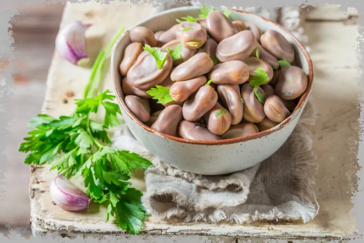 Široké fazole - vlastnosti a nutriční hodnoty